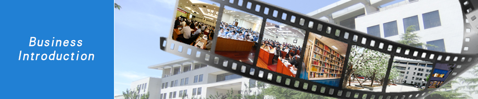 Business Introduction